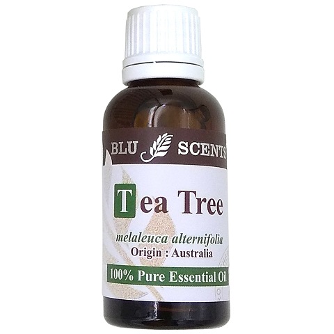 TEA TREE 30ml Pure Essential Oil
