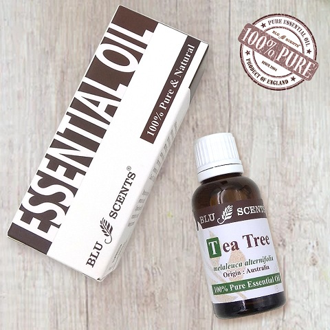 TEA TREE 30ml Pure Essential Oil