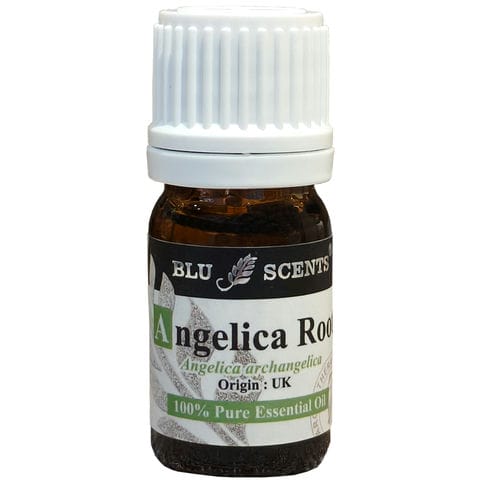 ANGELICA ROOT 5ml Pure Essential Oil