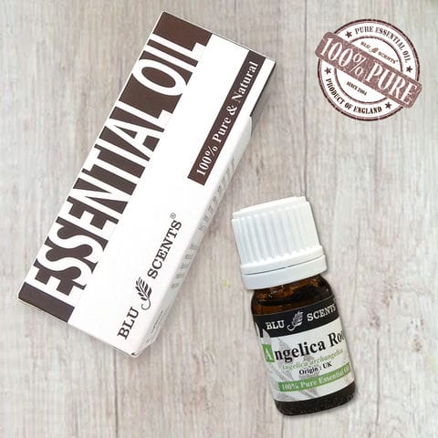 ANGELICA ROOT 5ml Pure Essential Oil