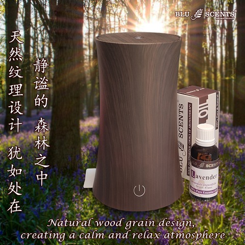 Artistic Ultrasonic Aroma Diffuser