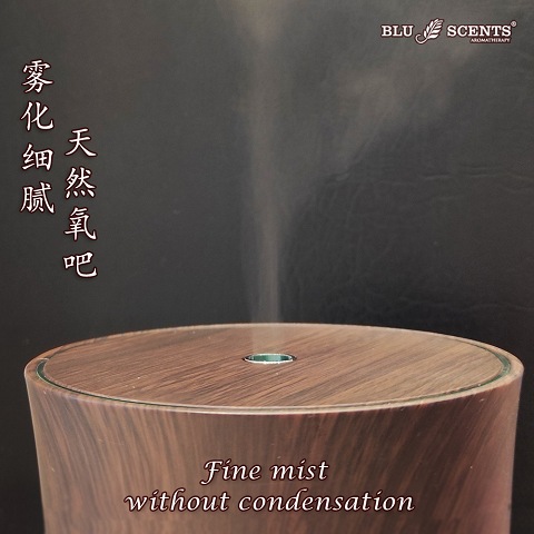 Artistic Ultrasonic Aroma Diffuser