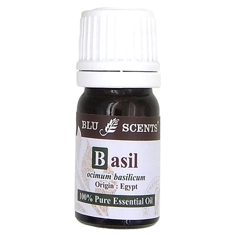 BASIL 5ml Pure Essential Oil
