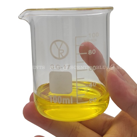 100ml Glass Laboratory Beaker