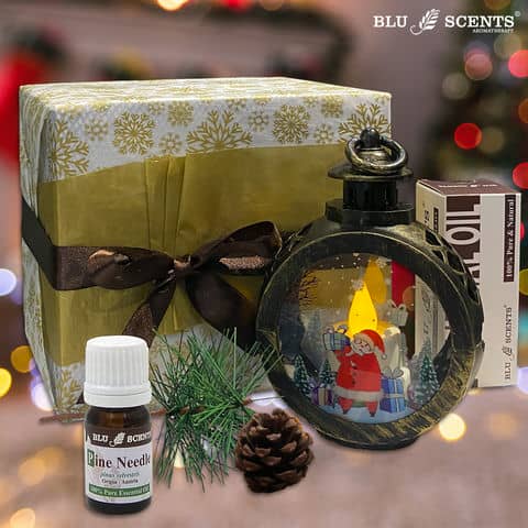 Blissful Pine Christmas Gift