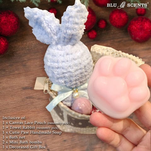 Blissful Bath Christmas Gift