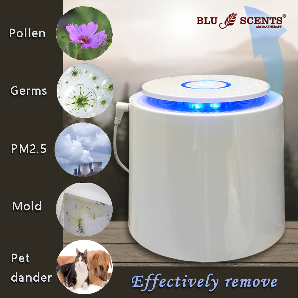 Breezy Mini Air Purifier