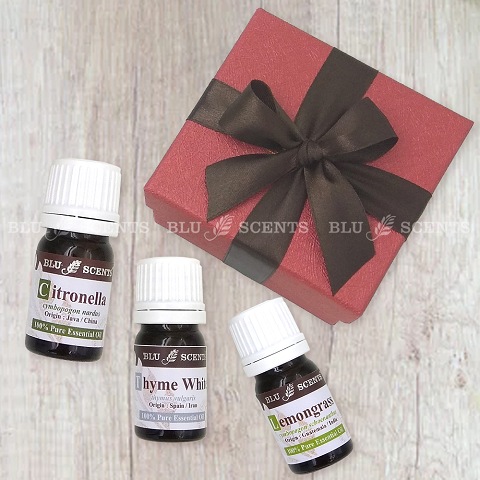 Bugs Off Pure Essential Oil Remedy