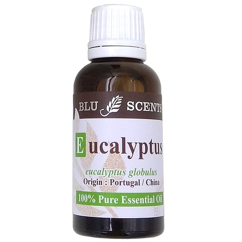 EUCALYPTUS 30ml Pure Essential Oil