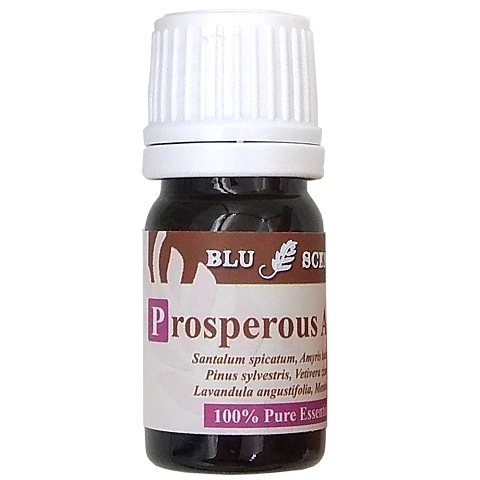 PROSPEROUS AROMA 5ml Pure Essential Oil