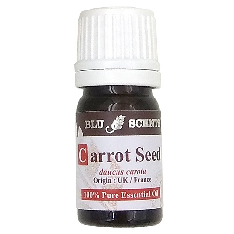CARROT SEED 5ml Pure Essential Oil