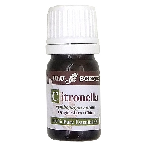 CITRONELLA 5ml Pure Essential Oil