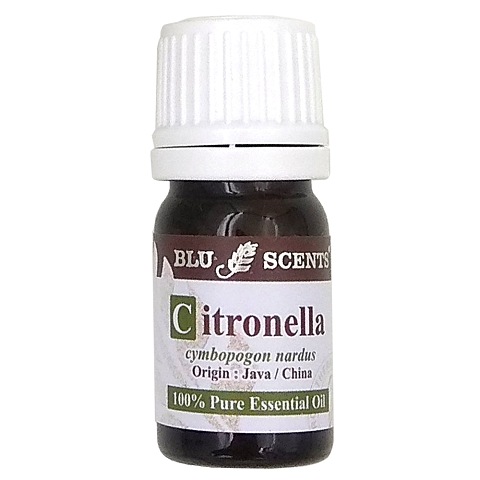CITRONELLA 5ml Pure Essential Oil