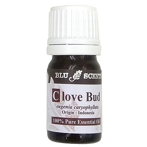 CLOVE BUD 5ml Pure Essential Oil