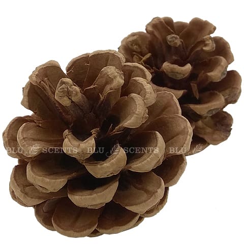 Collection Bath Bombs Christmas gift