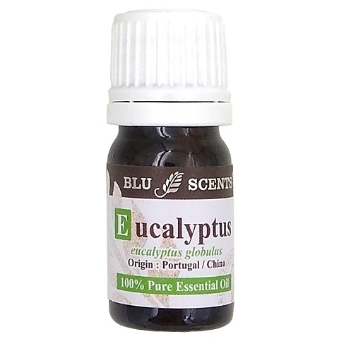 EUCALYPTUS 5ml Pure Essential Oil