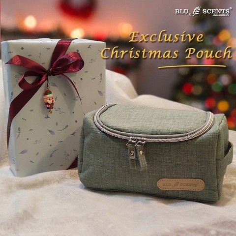 Exclusive Christmas Pouch
