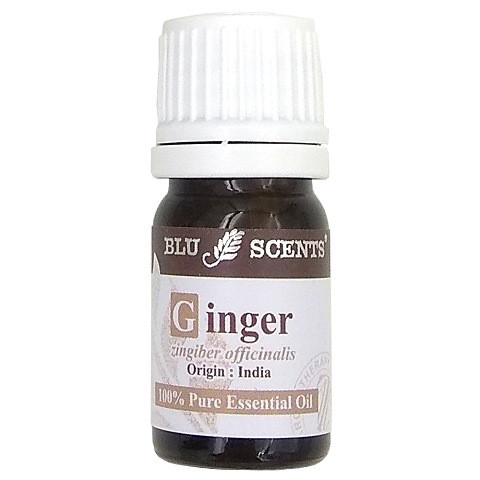 GINGER 5ml Pure Essential Oil