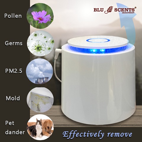 Breezy Mini Air Purifier替换HEPA 过滤网