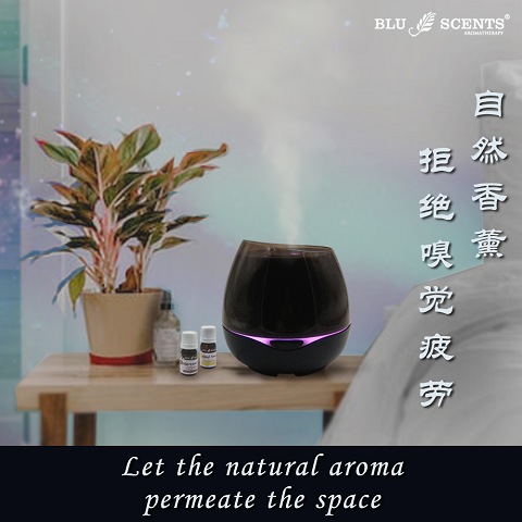 Luna 超声波熏香器