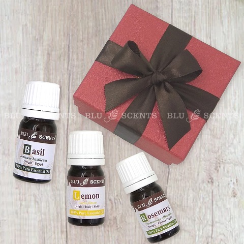 Memory Aid Pure Essential Oil Remedy