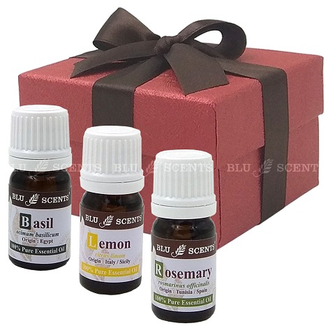 Memory Aid Pure Essential Oil Remedy