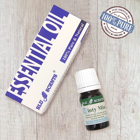 MINTY MIND 5ml Pure Essential Oil