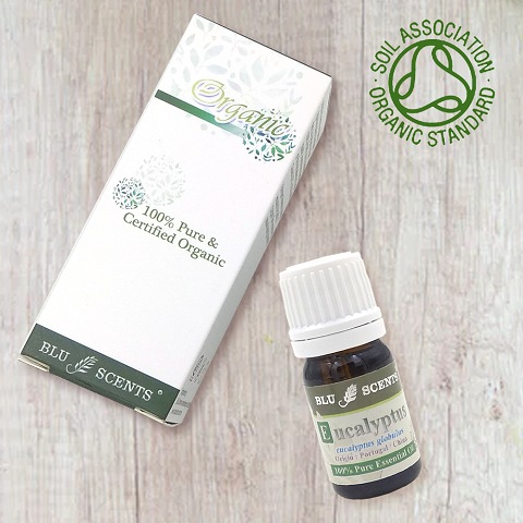 ORGANIC EUCALYPTUS 5ml Pure Essential Oil - Click Image to Close