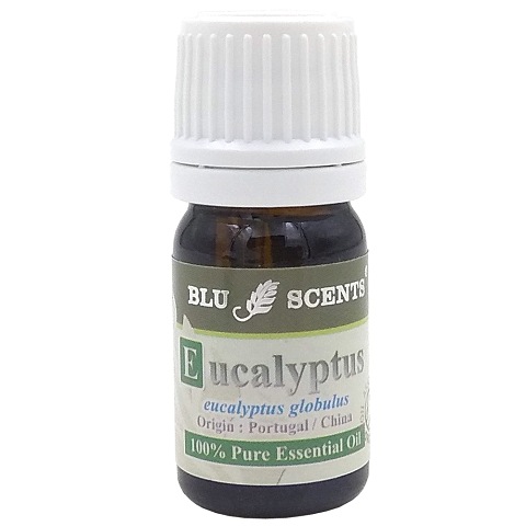 ORGANIC EUCALYPTUS 5ml Pure Essential Oil