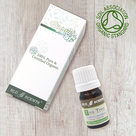 ORGANIC TEA TREE 5ml Pure Essential Oil - Click Image to Close