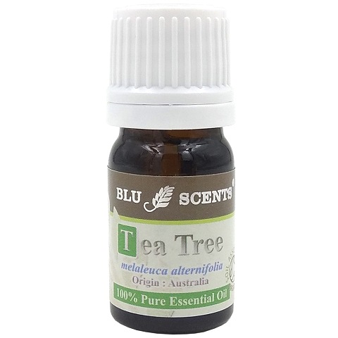 ORGANIC TEA TREE 5ml Pure Essential Oil