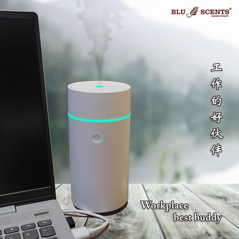 Pally Ultrasonic Aroma Diffuser