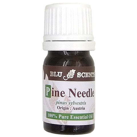 PINE NEEDLE 5ml Pure Essential Oil