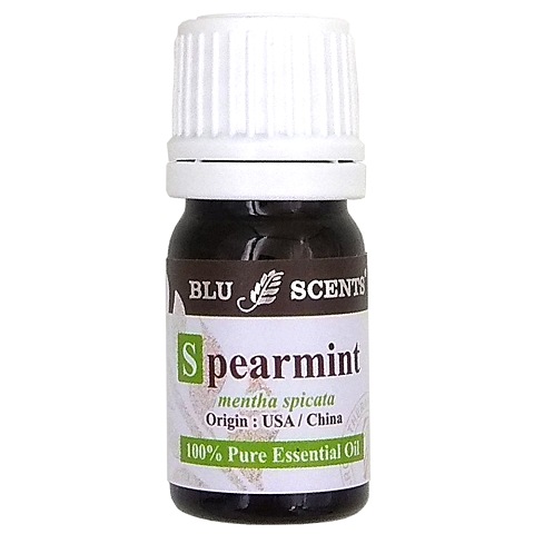 SPEARMINT 5ml Pure Essential Oil