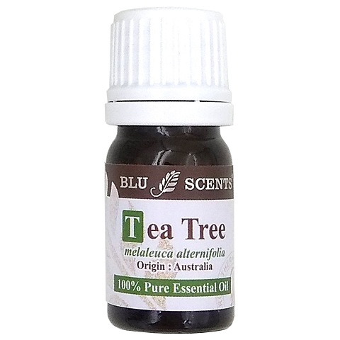 TEA TREE 5ml Pure Essential Oil