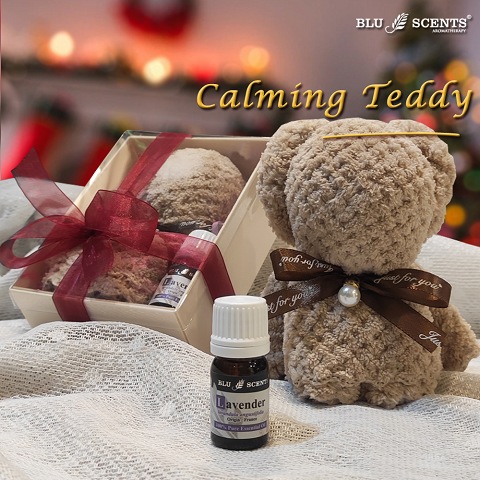 Calming Teddy