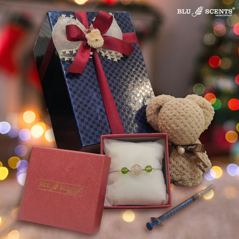 Teddy Affection Xmas Gift