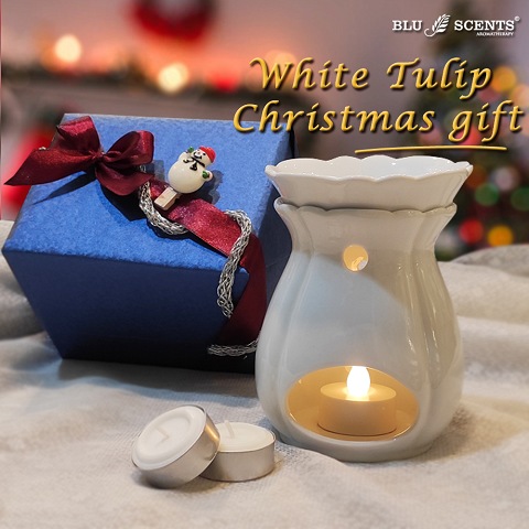 White Tulip Christmas Gift