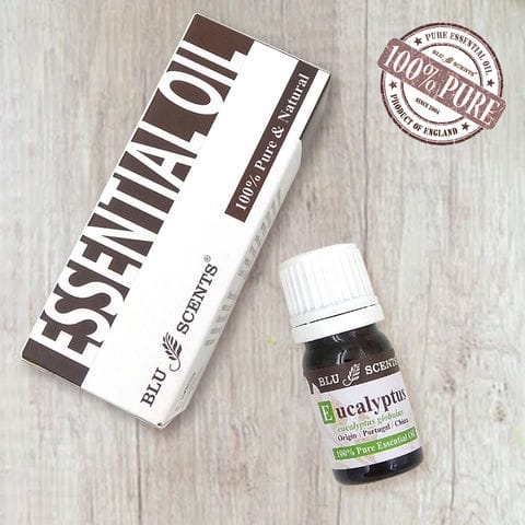 Pine & Eucalyptus Holiday Christmas