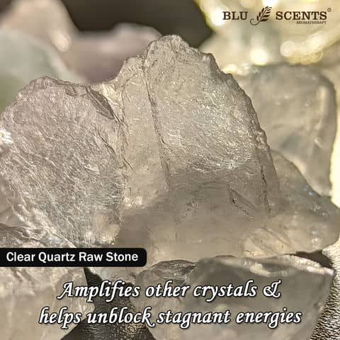 Fluorite Pine Forest Christmas Gift