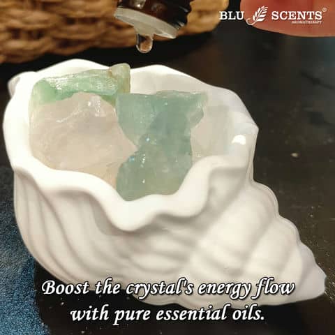 Fluorite Pine Forest Christmas Gift