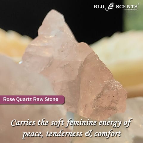 Victorie Lavender Blessing Christmas