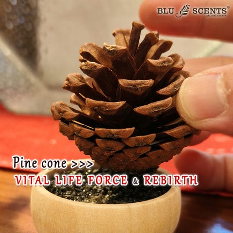 Pine Cone Diffuser