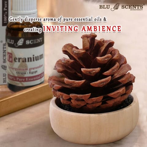 Pine Cone Diffuser