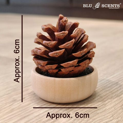 Pine Cone Diffuser