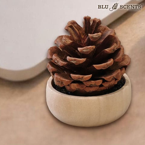 Pine Cone Diffuser