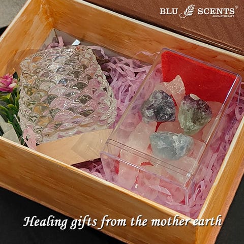 Golden Aura Christmas Gift