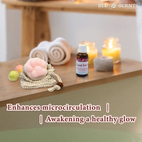 Soapy Paw & Bloom Gift