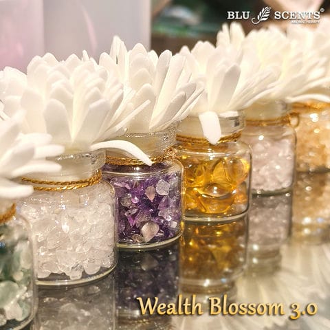 Wealth Blossom 3.0