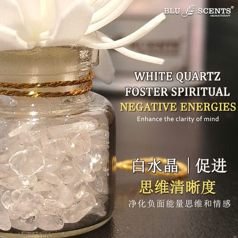 Wealth Blossom 3.0